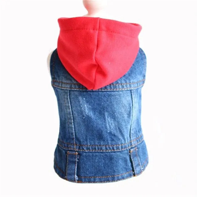 Cat Dog Clothes Denim jacket